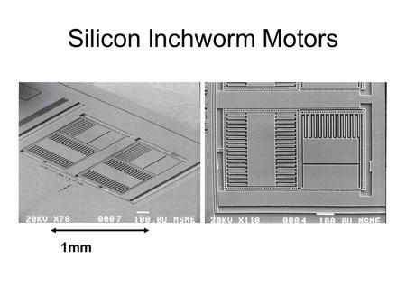 Silicon Inchworm Motors 1mm. Autonomous Microrobot Seth Hollar, Sarah Bergreiter Anita Flynn, Kris Pister Solar Cells Motors Legs CMOS Sequencer 8.6 mm.