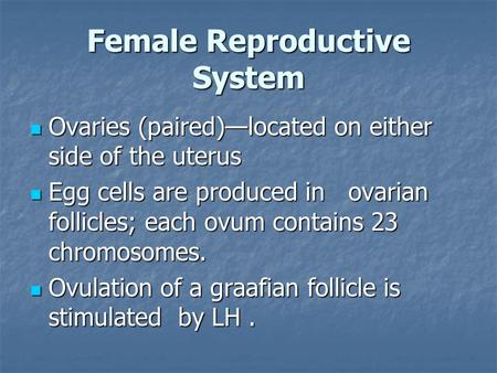 Female Reproductive System