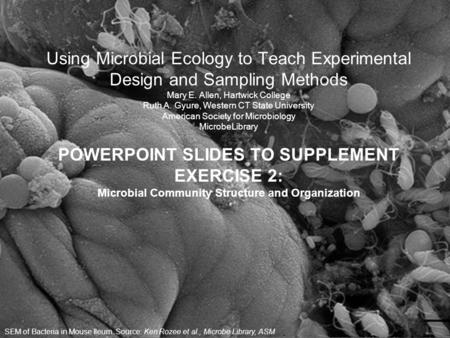 Using Microbial Ecology to Teach Experimental Design and Sampling Methods Mary E. Allen, Hartwick College Ruth A. Gyure, Western CT State University American.