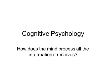 How does the mind process all the information it receives?