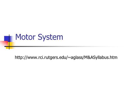 Motor System