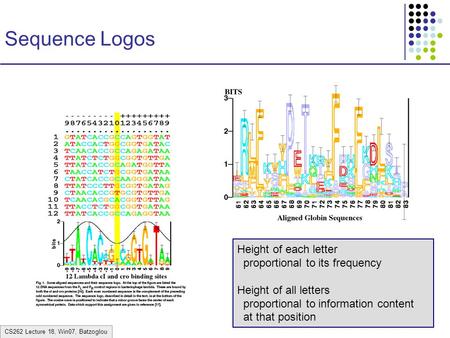 CS262 Lecture 18, Win07, Batzoglou Sequence Logos Height of each letter proportional to its frequency Height of all letters proportional to information.