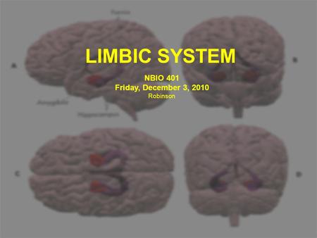 LIMBIC SYSTEM NBIO 401 Friday, December 3, 2010 Robinson.