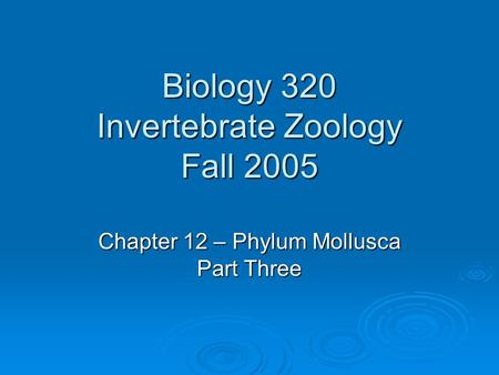 Biology 320 Invertebrate Zoology Fall 2005 Chapter 12 – Phylum Mollusca Part Three.