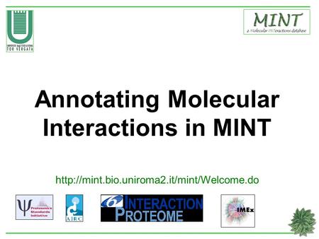 Annotating Molecular Interactions in MINT