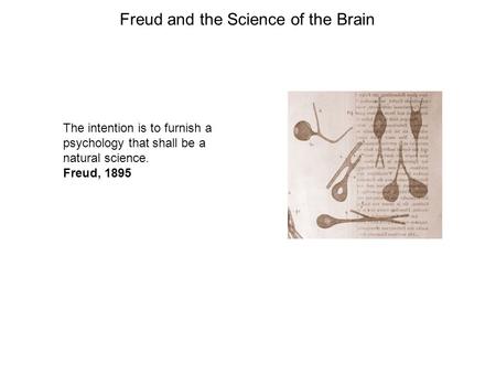 The intention is to furnish a psychology that shall be a natural science. Freud, 1895 Freud and the Science of the Brain.