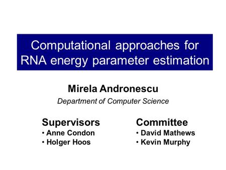 Computational approaches for RNA energy parameter estimation Mirela Andronescu Department of Computer Science Supervisors Anne Condon Holger Hoos Committee.