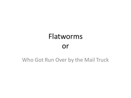 Flatworms or Who Got Run Over by the Mail Truck. I. General Traits or Characteristics A. Simplest animal that possesses bilateral symmetry.