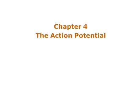 Chapter 4 The Action Potential. Introduction Action Potential –Cytosol (cytoplasm) has negative charge relative to extracellular space –Its pusatile nature.