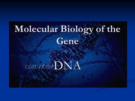 Molecular Biology of the Gene DNA. Identification of Genetic Material Identification of Genetic Material Structure of DNA Structure of DNA DNA Replication.