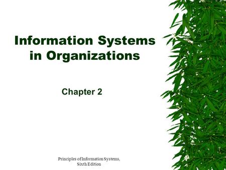 Information Systems in Organizations