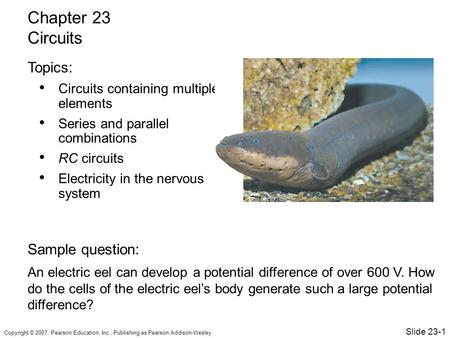 Copyright © 2007, Pearson Education, Inc., Publishing as Pearson Addison-Wesley. Circuits containing multiple elements Series and parallel combinations.