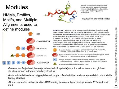 1 (c) Mark Gerstein, 1999, Yale, bioinfo.mbb.yale.edu Several motifs (  -sheet, beta-alpha-beta, helix-loop-helix) combine to form a compact globular.