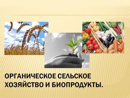 ОРГАНИЧЕСКОЕ СЕЛЬСКОЕ ХОЗЯЙСТВО И БИОПРОДУКТЫ.. По данным НП «Агрософия»