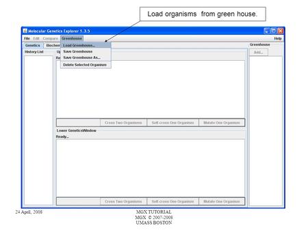 24 April, 2008MGX TUTORIAL MGX © 2007-2008 UMASS BOSTON Load organisms from green house.