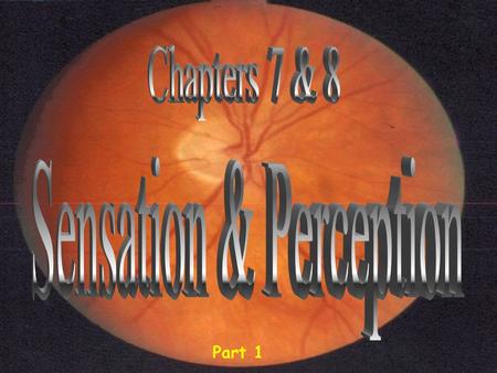 Part 1. Part 1: Sensory Processing Vision Part 2: Other Sensory Systems.