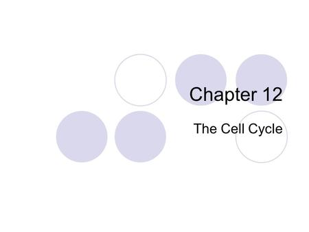 Chapter 12 The Cell Cycle.