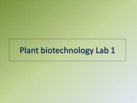 Plant biotechnology Lab 1. Strategies of gene analysis Promotor analysis Function of gene/protein Expression pattern of genes 1. GUS staining 2. RT-PCR.