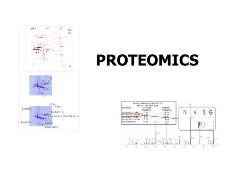 PROTEOMICS De novo sequence prediction for: nsi78_11.1803.1806.2.dta SequenceAbsoluteRelative Probability CRGSVNFP[PL]FK 3.9%36.3% CRGSVN[DE][PL]FK 2.3%24.7%