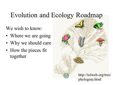 We wish to know: Where we are going Why we should care How the pieces fit together Evolution and Ecology Roadmap  phylogeny.html.