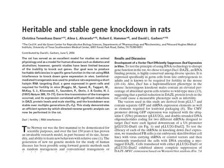 Dazl shRNA construct design Dann C T et al. PNAS 2006;103:11246-11251 ©2006 by National Academy of Sciences.