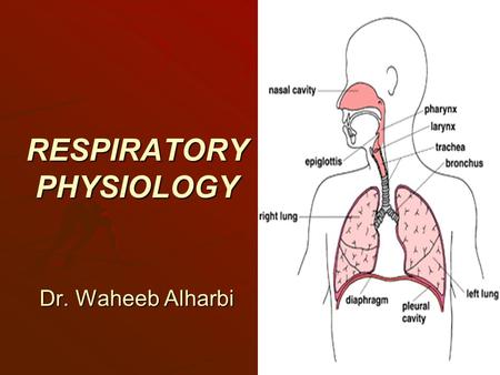 RESPIRATORY PHYSIOLOGY Dr. Waheeb Alharbi