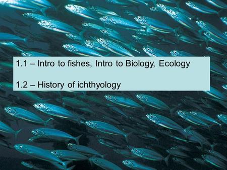 1.1 – Intro to fishes, Intro to Biology, Ecology 1.2 – History of ichthyology.