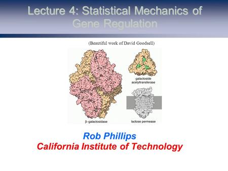 Lecture 4: Statistical Mechanics of Gene Regulation Rob Phillips California Institute of Technology (Beautiful work of David Goodsell)