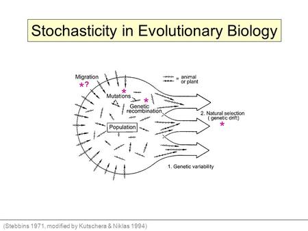 Stochasticity in Evolutionary Biology