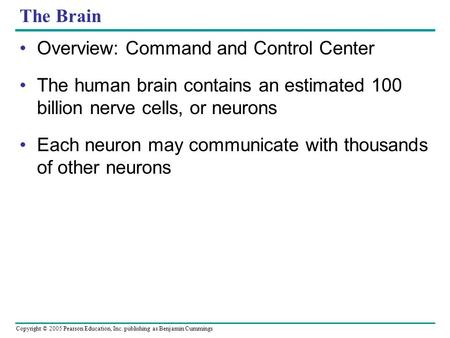 The Brain Overview: Command and Control Center