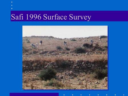 Safi 1996 Surface Survey. el-Far'ah South 1998 Survey.