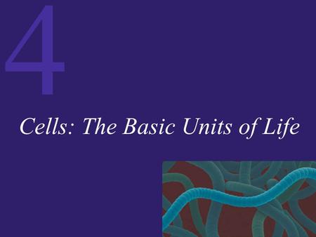 4 Cells: The Basic Units of Life. 4 The Cell: The Basic Unit of Life Prokaryotic Cells Eukaryotic Cells Organelles that Process Information The Endomembrane.