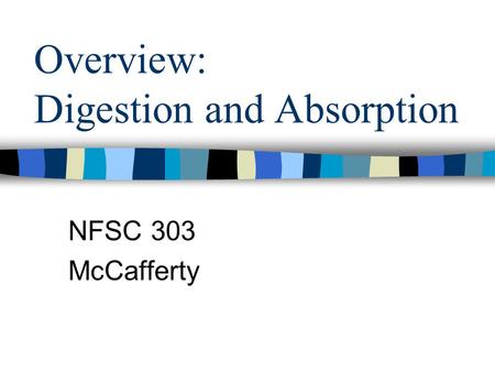 Overview: Digestion and Absorption NFSC 303 McCafferty.