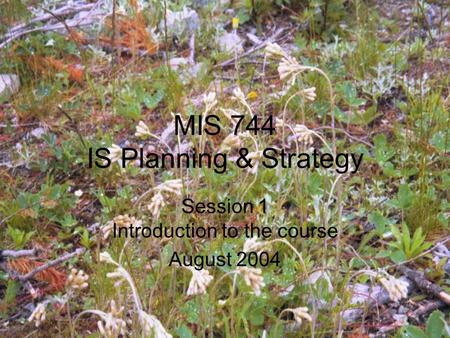 MIS 744 IS Planning & Strategy Session 1 Introduction to the course August 2004.