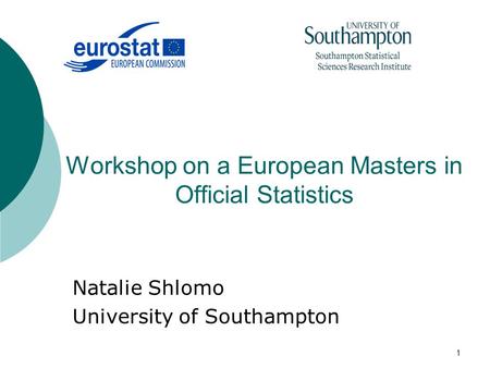 1 Workshop on a European Masters in Official Statistics Natalie Shlomo University of Southampton.