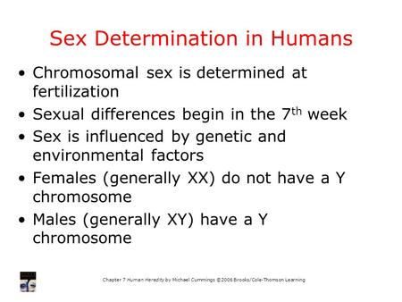 Sex Determination in Humans