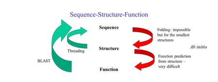 Sequence-Structure-Function Sequence Structure Function Threading Ab initio BLAST Folding: impossible but for the smallest structures Function prediction.