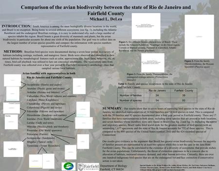 Comparison of the avian biodiversity between the state of Rio de Janeiro and Fairfield County Michael L. DeLea SUMMARY: Our results show that in seven.