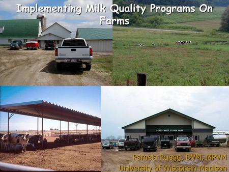 Implementing Milk Quality Programs On Farms Pamela Ruegg, DVM, MPVM University of Wisconsin Madison.