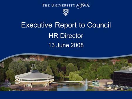 Executive Report to Council