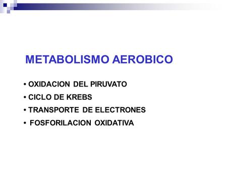 METABOLISMO AEROBICO • OXIDACION DEL PIRUVATO • CICLO DE KREBS