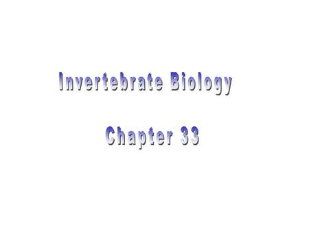 Phylogentic Relationships of Animals Ancestral Protist segmentation true tissue radial symmetry bilateral symmetry Deuterostomes: eucoelom Protostome: