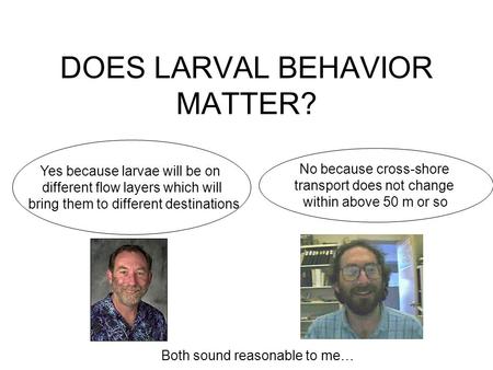 DOES LARVAL BEHAVIOR MATTER? No because cross-shore transport does not change within above 50 m or so Yes because larvae will be on different flow layers.