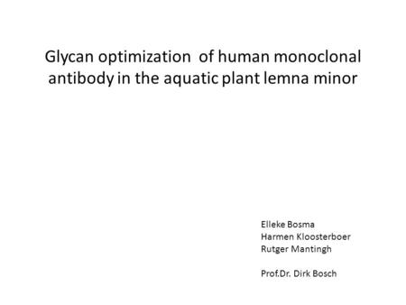 Glycan optimization of human monoclonal antibody in the aquatic plant lemna minor Elleke Bosma Harmen Kloosterboer Rutger Mantingh Prof.Dr. Dirk Bosch.