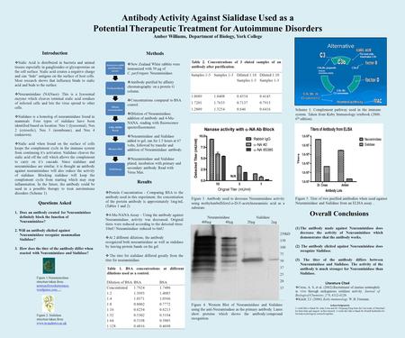 Antibody Activity Against Sialidase Used as a Potential Therapeutic Treatment for Autoimmune Disorders Amber Williams, Department of Biology, York College.