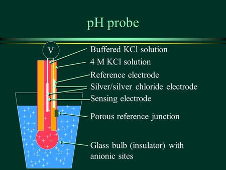 PH probe + + + + + + + + + + + + + + ++ + + + + + + + + + + + + ++ + + + + + + + + + + + + + + + + + + + + + + + + + + + + + + ++ + + + + + + + + + + +