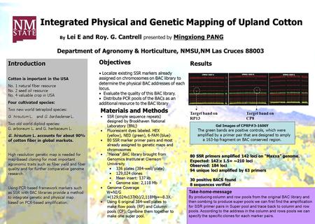 Integrated Physical and Genetic Mapping of Upland Cotton By Lei E and Roy. G. Cantrell presented by Mingxiong PANG Introduction Cotton is important in.