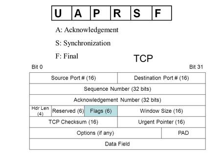 Source Port # (16)Destination Port # (16) Sequence Number (32 bits) Acknowledgement Number (32 bits) Hdr Len (4) Flags (6)Window Size (16) Options (if.