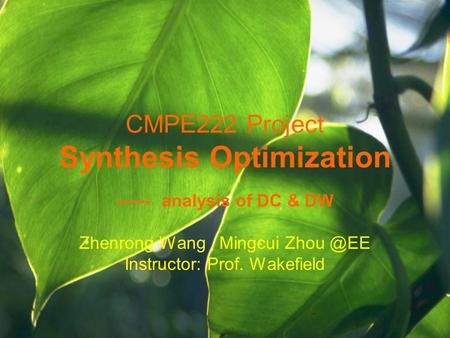 CMPE222 Project Synthesis Optimization ------ analysis of DC & DW Zhenrong Wang, Mingcui Instructor: Prof. Wakefield.