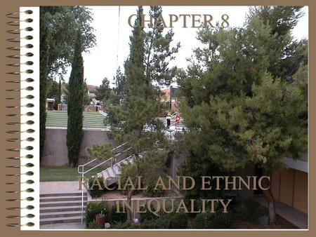 “A race is a category of people treated as distinct on account of physical characteristics to which social importance has been assigned” (Brinkerhoff,